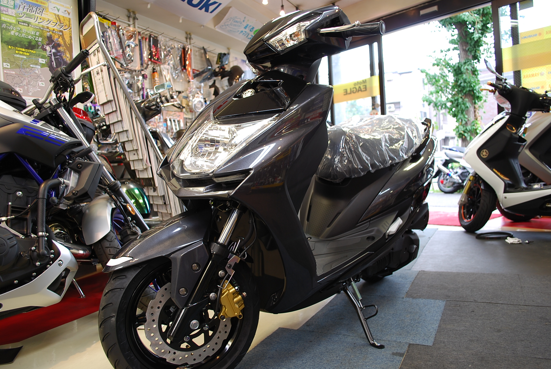 17 シグナス　各色 043